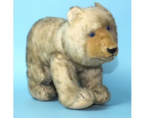 A golden mohair plush teddy bear standing on all fours, possibly Steiff, with shaved mohair plush snout, horizontally-stitche