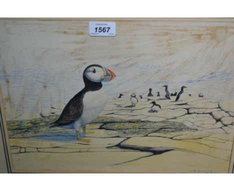 M. Barnard, watercolour, study of puffins on a rocky outcrop, signed, gilt framed, 10ins x 14ins
