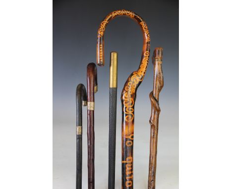 Five walking sticks, comprising two silver mounted examples, a Folk Art treen stick with carved dogs head handle and spiral s
