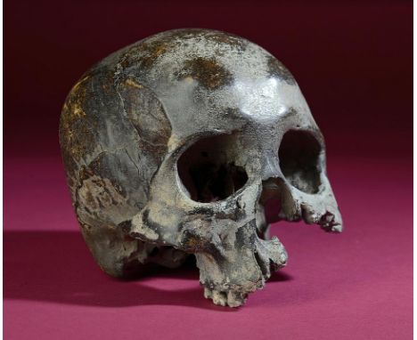 Natural History: A medieval Human skull  with rich dark brown patina 
