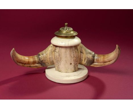 Natural History: An inkstand made from Warthog tusks with ivory and brass mounts  circa 1900 28cm.; 11ins wide  