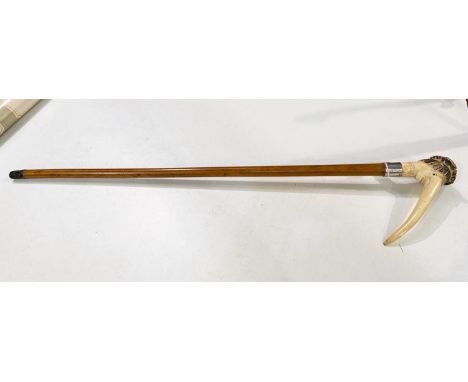 A Victorian Malacca cane stick with carved antler handle in the form of a grotesque head, 96cm.