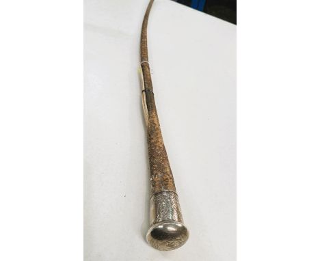 A 19th Century stick formed from a marine tentacle with continental silver finial, 97cm.