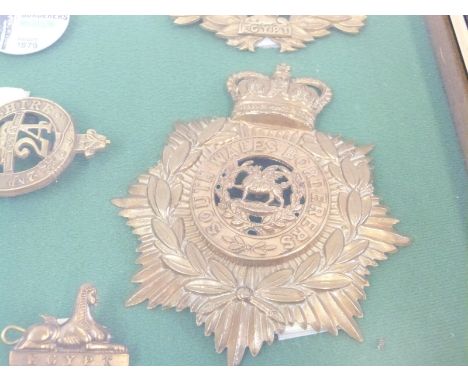 A framed collection of badges and helmet plates to the 24th Regiment of Foot, South Wales Borderers / Warwickshire Regiment, 