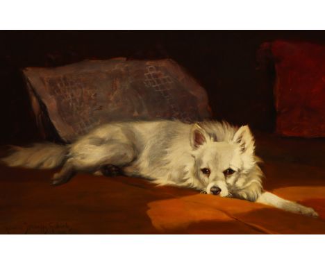 {Gabriella Rainer-Istvanffy. 1877 - Budapest - 1964.} Sign. und 1914 dat. Liegender weißer Spitz. Öl/Lwd. 46 x 54 cm. R