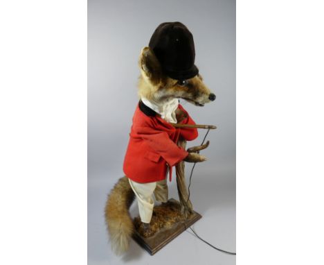 An Anthropomorphic Taxidermy Study of a Standing Fox Dressed in Hunting Coat and Wearing Riding Hat, Carrying Crop and with H