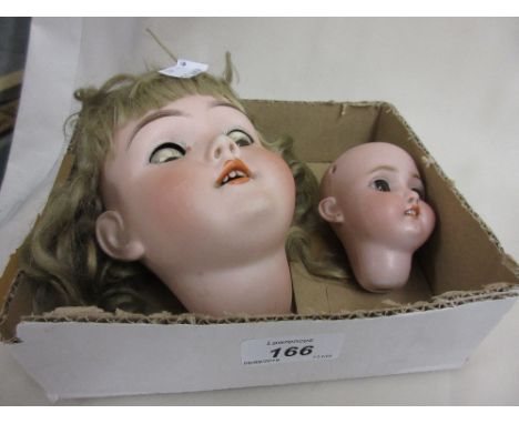 Max Handwerck, German bisque doll's head with sleeping eyes, open mouth and four teeth together with a small Halbig bisque do