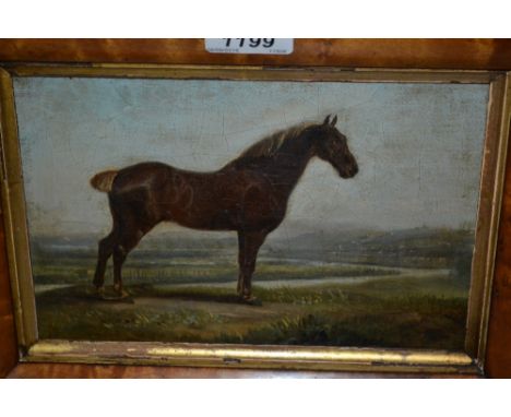 19th Century oil on canvas laid onto panel, portrait of a horse in a landscape, maplewood framed, 6ins x 8.5ins