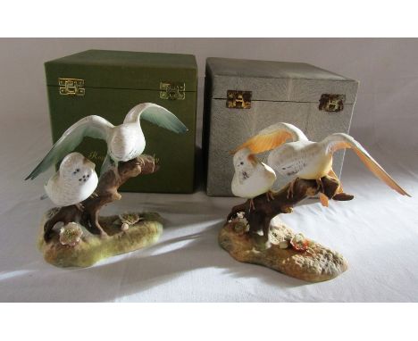 2 boxed Royal Crown Derby birds - yellow budgerigar group signed K Wood and green budgerigar group signed T Griffiths (damage