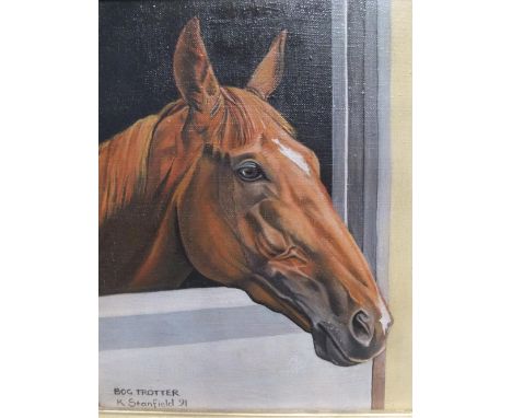 K Stanfield 1991 oil on board, "head of a race-horse called Big Trotter", siged, dated and in ebonised wood frame,23 x 18 cmF