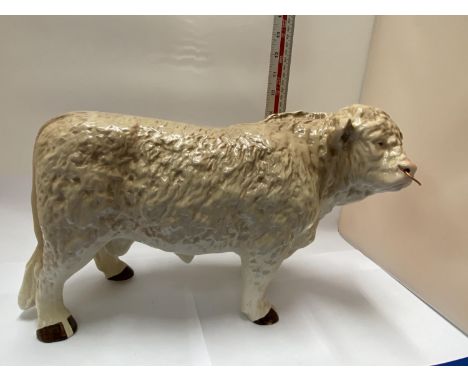 A LARGE BUTCHER'S SHOP CERAMIC CHAROLAIS BULL 