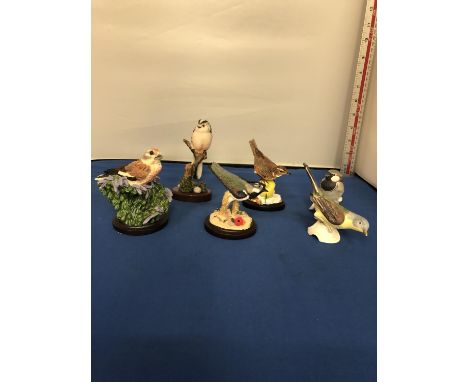 SIX BIRD FIGURES TO INCLUDE TWO GOEBEL (YELLOW WAGTAIL) AND 4 RESIN FIGURES BY THE COUNTY BIRD COLLECTION 'THE REDWING' 'THE 
