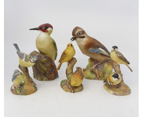 Five Royal Worcester models of garden birds, woodpecker, jay, blue tit, coal tit, yellow hammer - no certificates&nbsp;