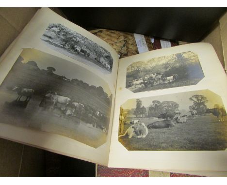 A R Quinton, his own archive of images for his postcards comprising of photos, tracings, etc. includes original photos he too