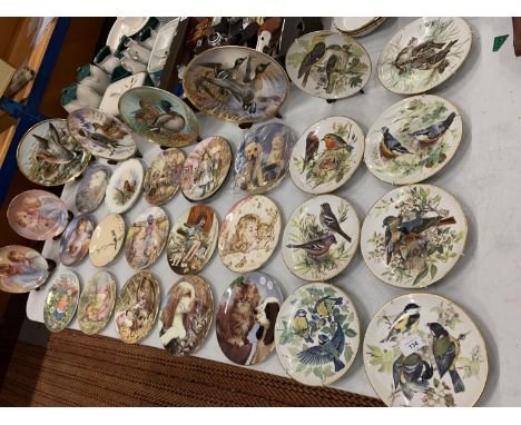 A LARGE ASSORTMENT OF COLLECTABLE PLATES TO INCLUDE ROYAL WORCESTER ETC 