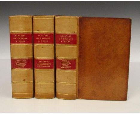 BRITTON (JOHN) et al. The Beauties of England and Wales, three thick 8vo volumes: South Wales, vol. XVIII, 1815; North Wales,