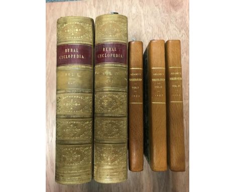 ADAMS (John) An Analysis of Horsemanship, teaching the whole art of riding..., in 3 vol., London: Albion Press for James Cund