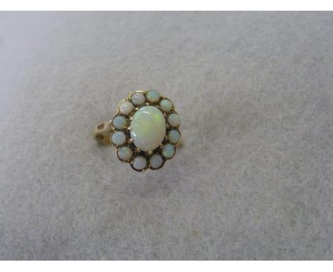 A fine 9ct gold thirteen stone opal ring, the centre stone surrounded by twelve matched stones, all of good colour, size N.