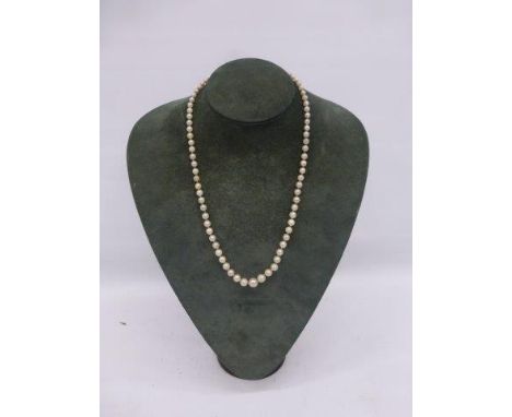 A single strand of pearls with a 9ct gold diamond and ruby clasp.