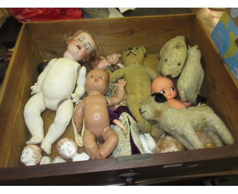 Drawer containing a quantity of various dolls and teddy bears including a German bisque headed doll with open eyes and open m