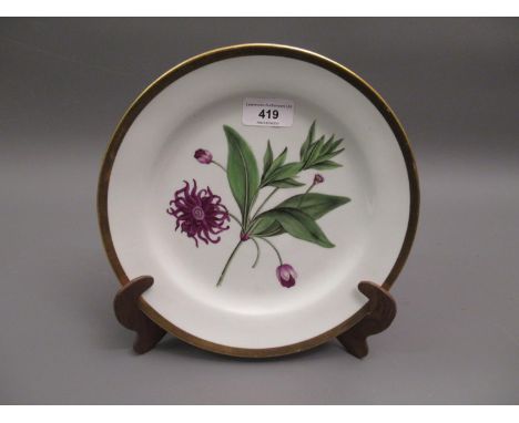 Chamberlains Worcester botanical plate painted with Red Flowered Illicium on a white ground with plain gilt border, 9.5ins di