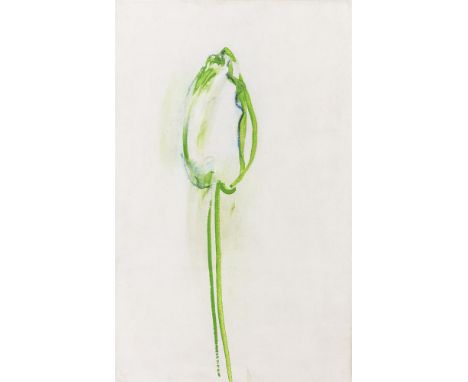 Robert Janz (b.1932)Spring Tulip (1985)A set of six, oil on canvas, each 60 x 38cm (23½ x 15'')All inscribed with title, Pane