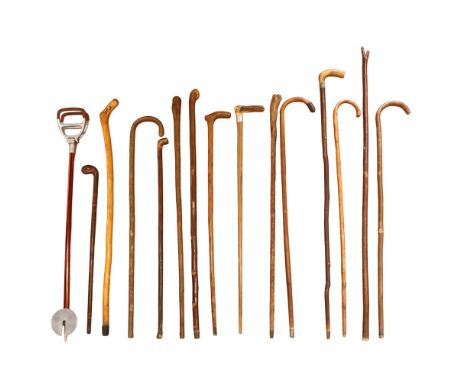 A collection of antique and vintage walking sticks together with a thumb stick and a shooting stick