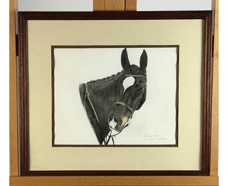 Jan Fisher, Horse portrait 'Downing Street', signed, watercolour, 24 x 30cm