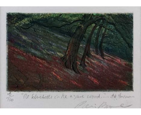 Piers Browne, Bluebells in a Wood, signed, numbered 16/100, 7 x 11cm (PL), 26 x 31cm framed Etching from the 1988 A.E. Housma