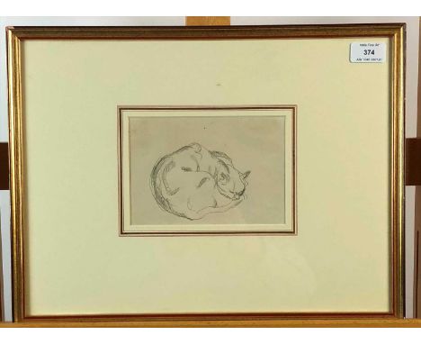 Steven Spurrier, Sketch of a sleeping cat, pencil, 11.5 x 17cm