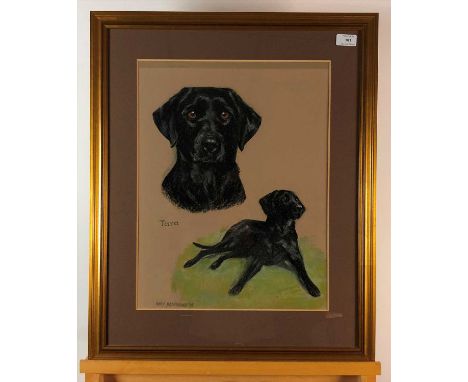 Mary Browning, Tara, signed and dated '95, pastel, 47 x 35cm together with two prints after Cecil Aldin and a print of a coll