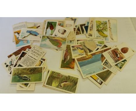TRADE, bird odds, inc. Fry, Devlin, de Villars, Chivers, Carter, Cadbury,  etc., VG to EX, 40*