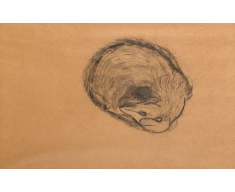 American, 1910-2001Hibernation, 1954 Signed and Graves 54 (ll)Graphite on brown paper14 1/2 x 19 3/4 inchesProvenance:Willard