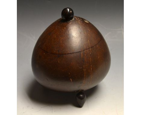 A 19th century coconut tea caddy
