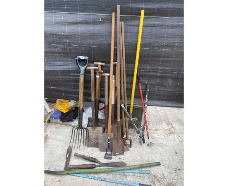 A LARGE COLLECTION OF VINTAGE GARDEN TOOLS TO INCLUDE SPADES, SHOVELS AND SHEARS ETC 