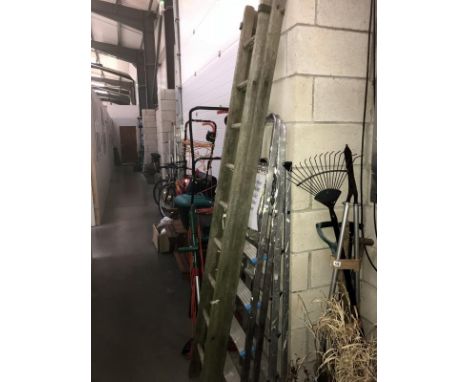 A ladder and 2 step ladders