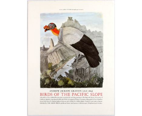 Original vintage advertising poster King Vulture for book Birds of the Pacific Slope by Andrew Jackson Grayson. Thick paper. 