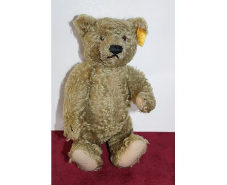 A Steiff teddy bear 000713 