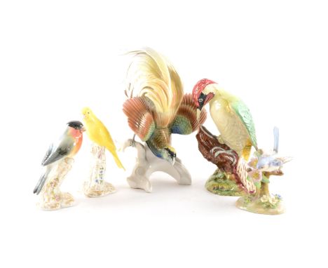 A Beswick model of a Woodpecker, No.1218, 23cm; Royal Worcester model of a Bullfinch, similar model, of a Canary, Crown Staff