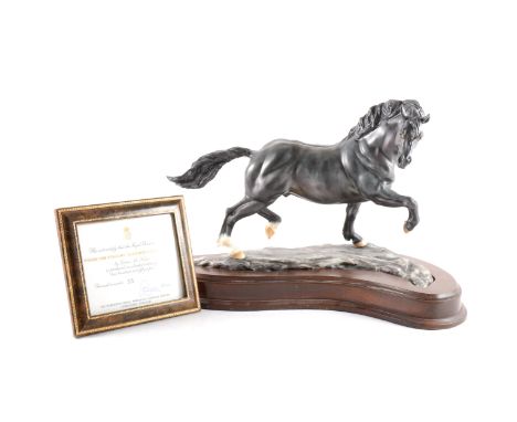 A Royal Worcester model of Welsh Cob Stallion "Llanarth Flying Comet", limited edition 33/250, on plinth, with certificate.