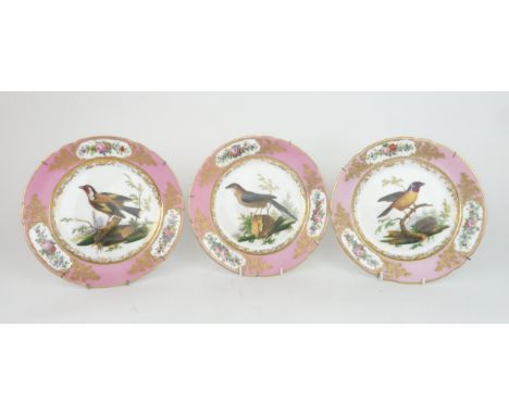 THREE PARIS PORCELAIN ORNITHOLOGICAL PAINTED CABINET PLATES from the Feuillet workshop, each painted with a bird, including a