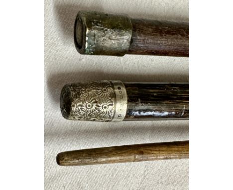 A coromandel and hallmarked silver walking cane with inscription 1892 Warrington to top, marks indistinct with hallmark silve