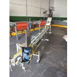 A&B PACKING DE-NESTER W/ CLAMSHELL CONVEYOR FOR EVOLUTION WEIGHT FILLER