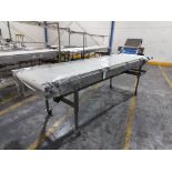 A&B PACKING CTL 3612 INSPECTION CONVEYOR