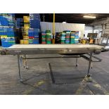A&B PACKING CTL 4212 INSPECTION CONVEYOR