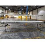 A&B PACKING CTL4218 INSPECTION CONVEYOR W/ LIGHT