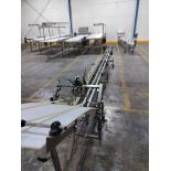 A&B PACKING WFSP180CIW DE-NESTER W/ CLAMSHELL CONVEYOR FOR EVOLUTION WEIGHT FILLER