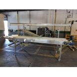 A&B PACKING CTL4212 INSPECTION CONVEYOR W/ LIGHT