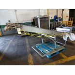 A&B PACKING CDT3610 DOVETAIL FEED ELEVATOR