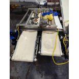 A&B PACKING SJ2 36 BLUEBERRY SIZER W/ DOUBLE OUTFEED CONVEYOR